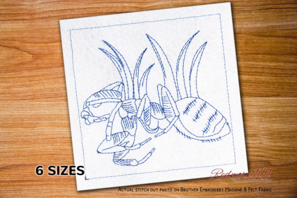 Macro Ghost Ant Design Review for Craft Fair Success