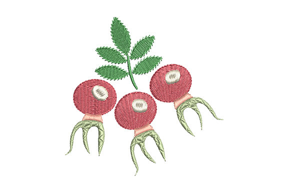Red Rose Hips with a Green Leaf Embroidery Design Review